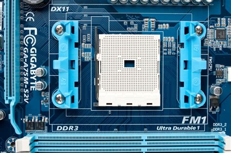 AMD Socket FM1 .